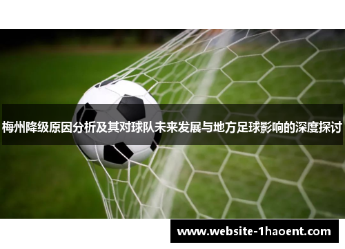 梅州降级原因分析及其对球队未来发展与地方足球影响的深度探讨