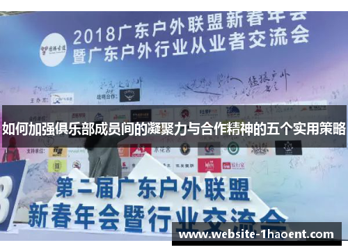如何加强俱乐部成员间的凝聚力与合作精神的五个实用策略