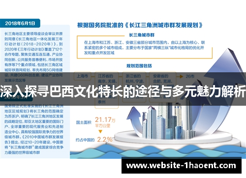 深入探寻巴西文化特长的途径与多元魅力解析