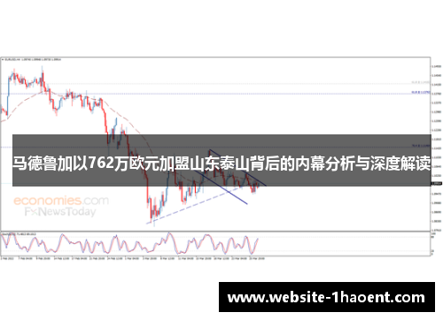 马德鲁加以762万欧元加盟山东泰山背后的内幕分析与深度解读