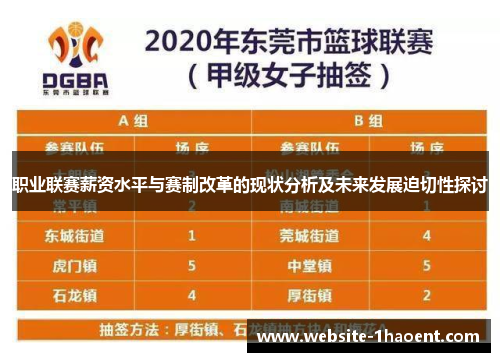 职业联赛薪资水平与赛制改革的现状分析及未来发展迫切性探讨 职业联赛薪资水平与赛制改革的现状分析及未来发展迫切性探讨