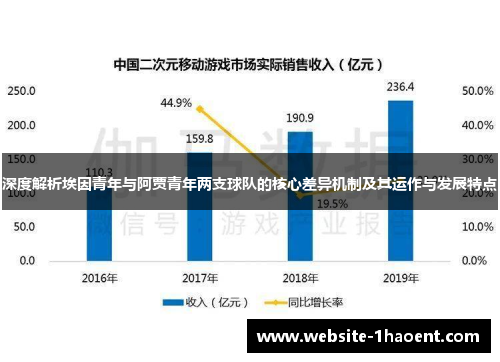 深度解析埃因青年与阿贾青年两支球队的核心差异机制及其运作与发展特点 深度解析埃因青年与阿贾青年两支球队的核心差异机制及其运作与发展特点