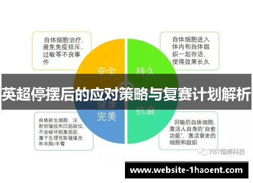 英超停摆后的应对策略与复赛计划解析