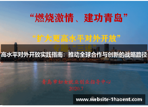 高水平对外开放实践指南：推动全球合作与创新的战略路径