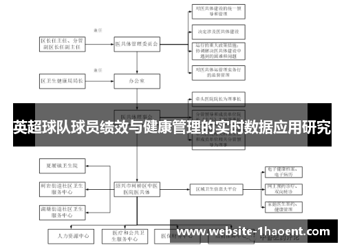 英超球队球员绩效与健康管理的实时数据应用研究